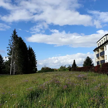 شقة Goldenes Geisslein برونلاغ