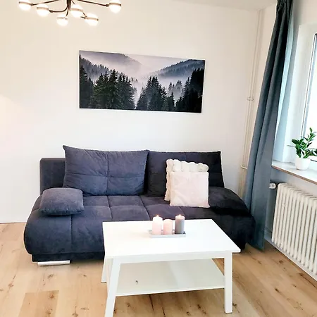 Goldenes Geisslein Apartment Braunlage