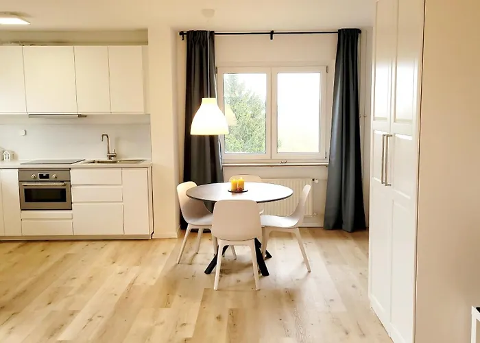 Goldenes Geisslein Apartment *